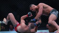 UFC Streams Live: Watch Every Fight Free (Updated Guide)