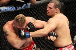 UFC Live Streams: Watch Every Fight Night Without Missing a Punch