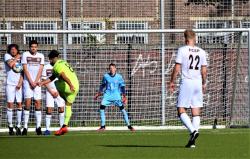 UFC Fight Night 2026: Schedule, Headlines & Totalsportek Streams